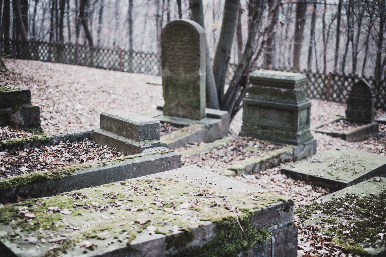 Moringen, Jüdischer Friedhof
